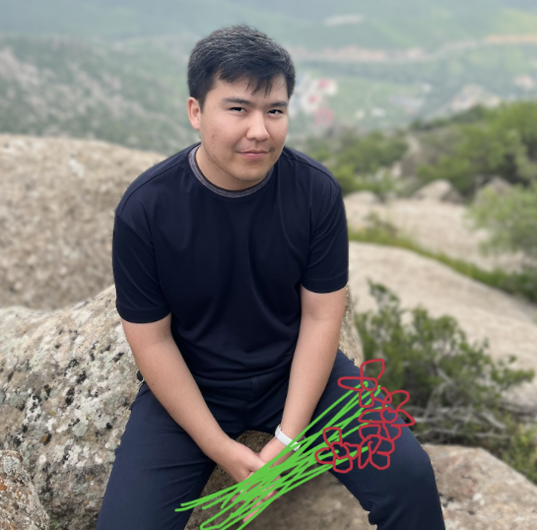 Alpha Bro